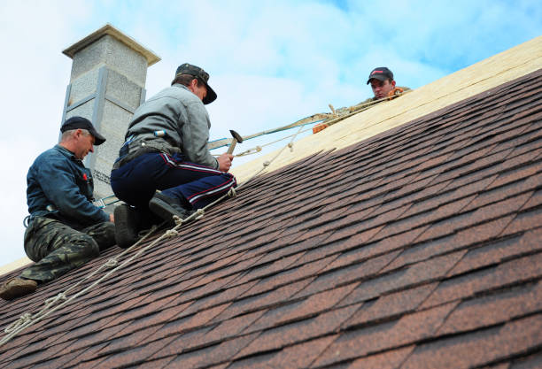 Best Storm Damage Roof Repair  in Glen Ellen, CA